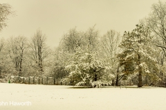 Back Yard in Winter