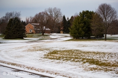 Winter Walk